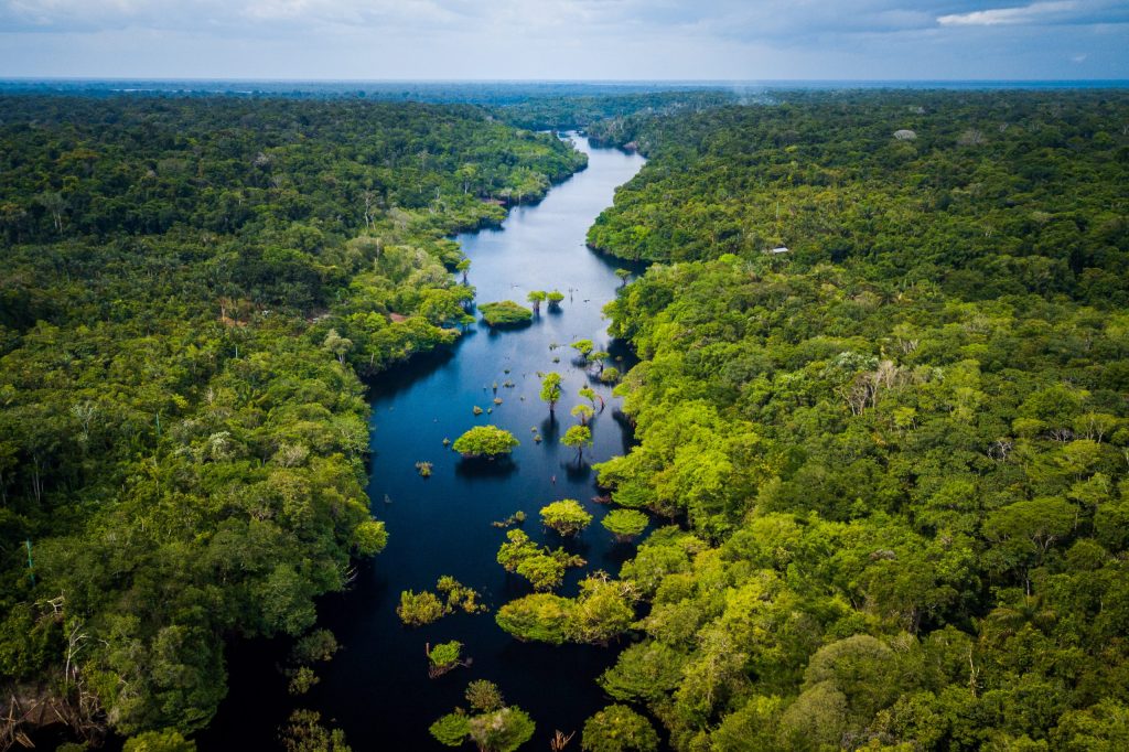 El peligroso Río&nbsp;Amazonas
