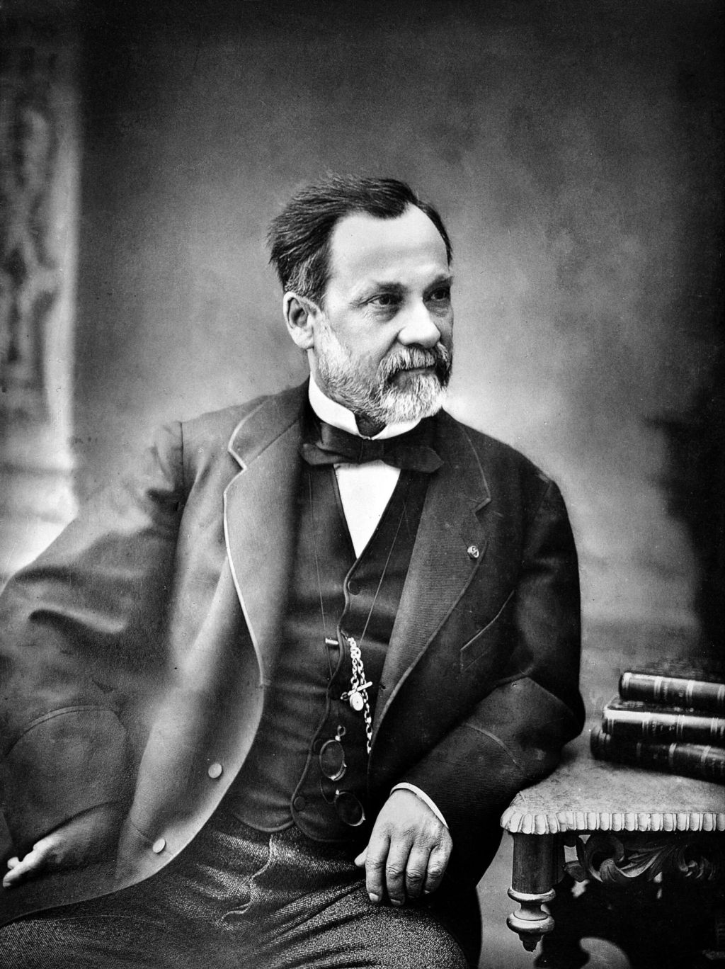 El héroe que venció a las enfermedades: Louis&nbsp;Pasteur